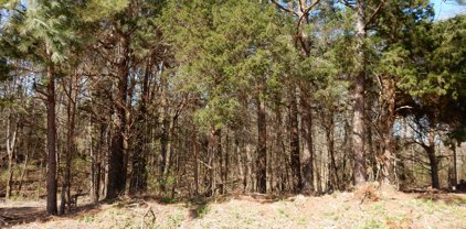 Lot 4 Thyatira Tyro Road, Senatobia