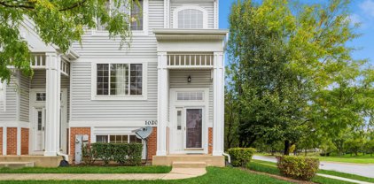 1020 Savoy Court, Elk Grove Village