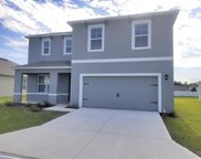 3250 Blue Crab Drive, Tavares image