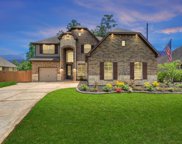 12534 Savage Court, Magnolia image