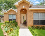9067 San Saba Way, Willis image