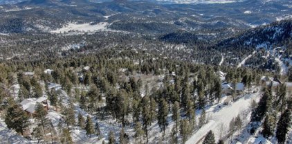 11698 Nichols Way, Conifer