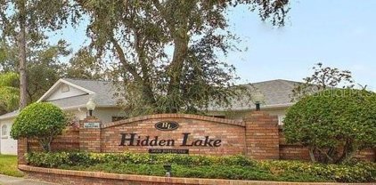 2334 Hidden Lake Drive, Palm Harbor