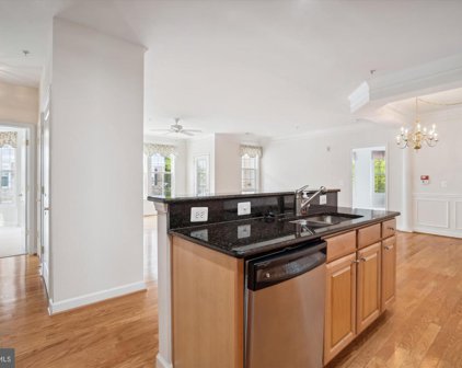 1511 Feral Dae Ln Unit #203, Annapolis