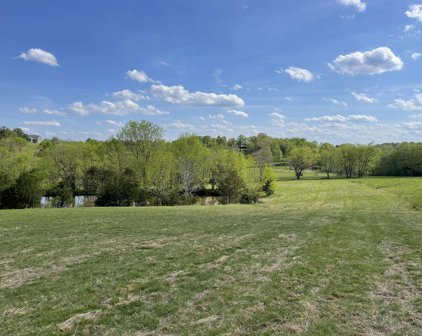 Central Pike, Mount Juliet