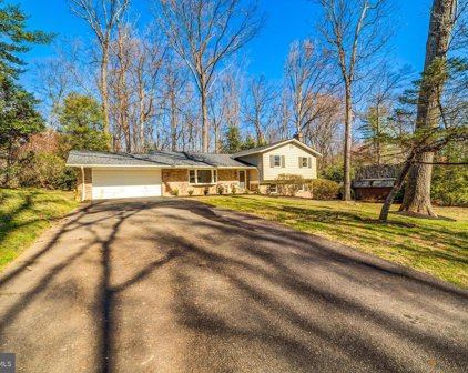 2520 Trophy Ln, Reston