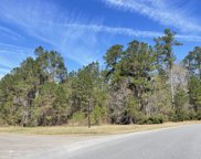 1202 Red Buckeye Court, Moncks Corner image