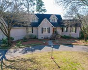 541 Chimney Bluff Drive, Mount Pleasant image