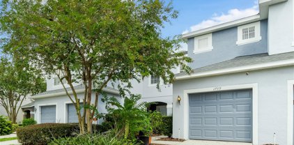 1709 Fritwell Court, Ocoee