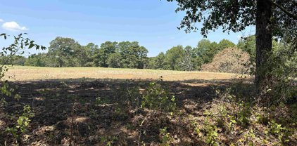 LOT 5  3+-ACRES COUNTY ROAD 2169, Troup