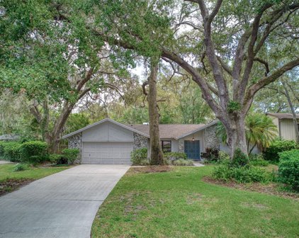 1730 Pine Hill Court, Safety Harbor