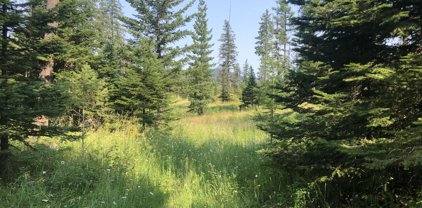Tract 21 Hidden River Vista, St. Maries