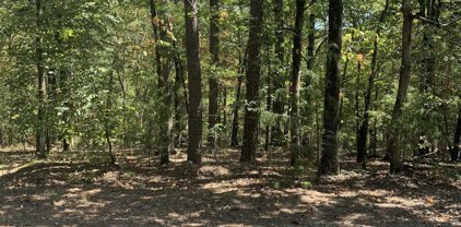 42 Alava, Hot Springs Village