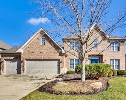 3512 Tall Grass Drive, Naperville
