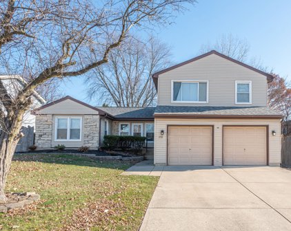 258 Windsor Drive, Bolingbrook