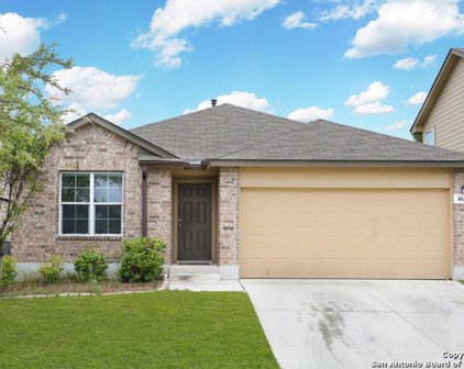465 Eastern Phoebe, San Antonio