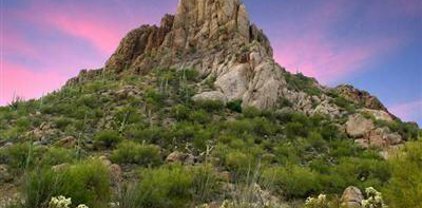 5420 S Camino De La Tierra, Tucson