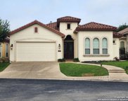 1810 Wild Deer Run, San Antonio image