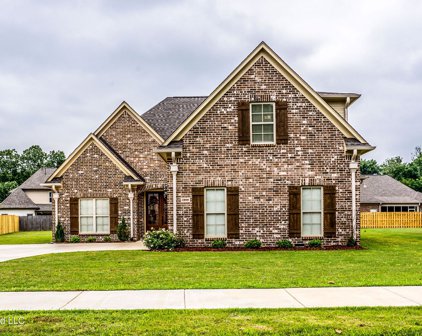 1969 Garrett Drive Drive, Hernando