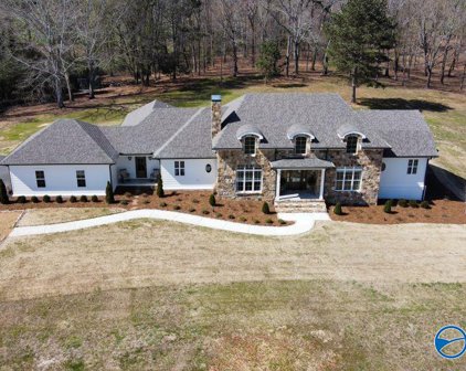 1537 Lowery Road, Arab