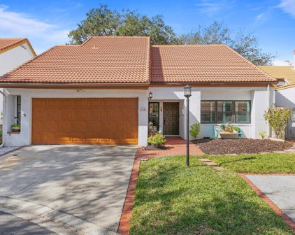 11404 Cerca Del Rio Place, Temple Terrace