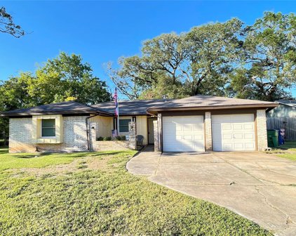 410 S Yaupon Street, Richwood