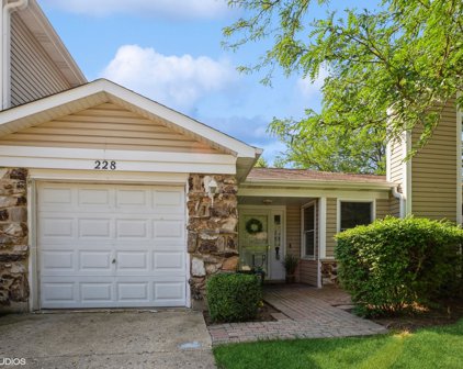 228 Hedgerow Drive, Bloomingdale