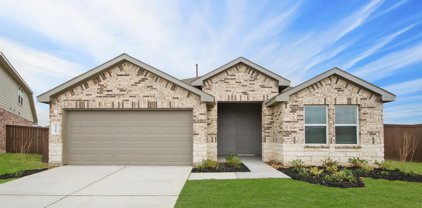 21310 Mountain Ash Drive, New Caney