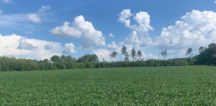 69 acres Wilson Mann Road, Owens Cross Roads