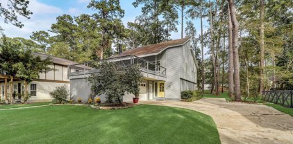 15696 Lakeway Drive, Willis