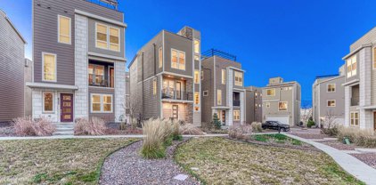 8338 Rivulet Point, Highlands Ranch