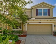 10649 Pictorial Park Drive, Tampa image
