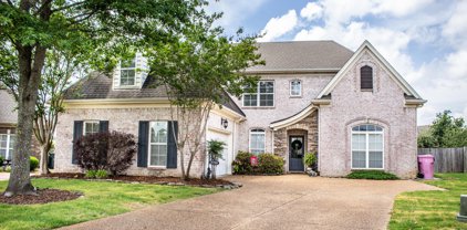 2788 Oliver Cove, Southaven