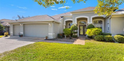 13049 Thoroughbred Drive, Dade City