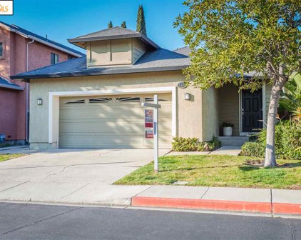 925 Bighorn Ter, Brentwood