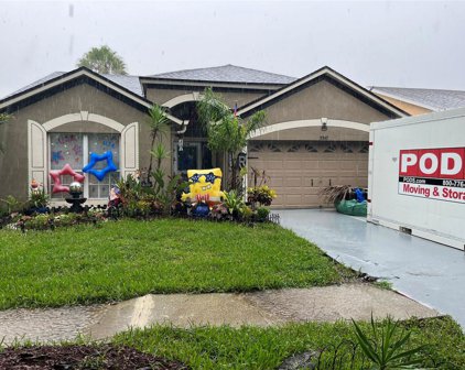 5547 Dark Star Loop, Wesley Chapel