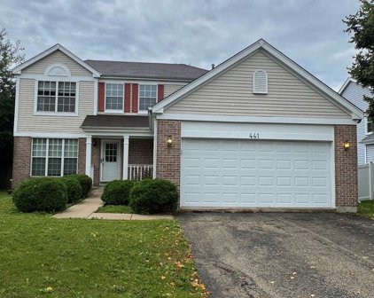 441 Meadowlark Drive, Bolingbrook