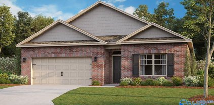 7005 Nw Straightway Court, Huntsville