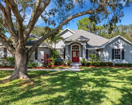 3539 Ashling Drive, Lakeland