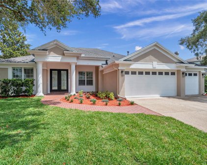 19619 Lake Osceola Lane, Odessa