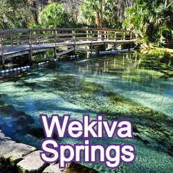 Wekiva Springs Florida Homes for Sale