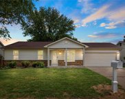 23 Brush Creek  Court, St Peters image