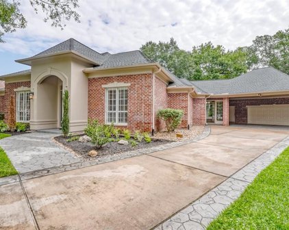 13502 Winter Creek Court, Houston