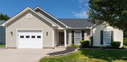 288 Meadow Pathway  Drive, Fletcher