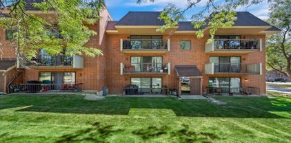 130 E Fountainview Lane Unit #3B, Lombard