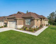 11174 Tuscany Lane, Lemont image