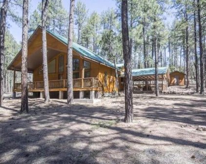 278 E Ring Tail Way, Payson