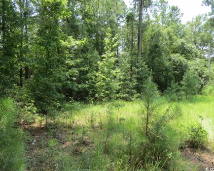 3213 Folly Grove Rd., Hemingway