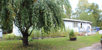 4387 S Youngman Road, Gowen