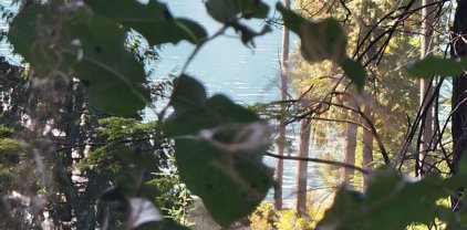 Lot 12 Osprey Creek Pitt Lake, Pitt Meadows